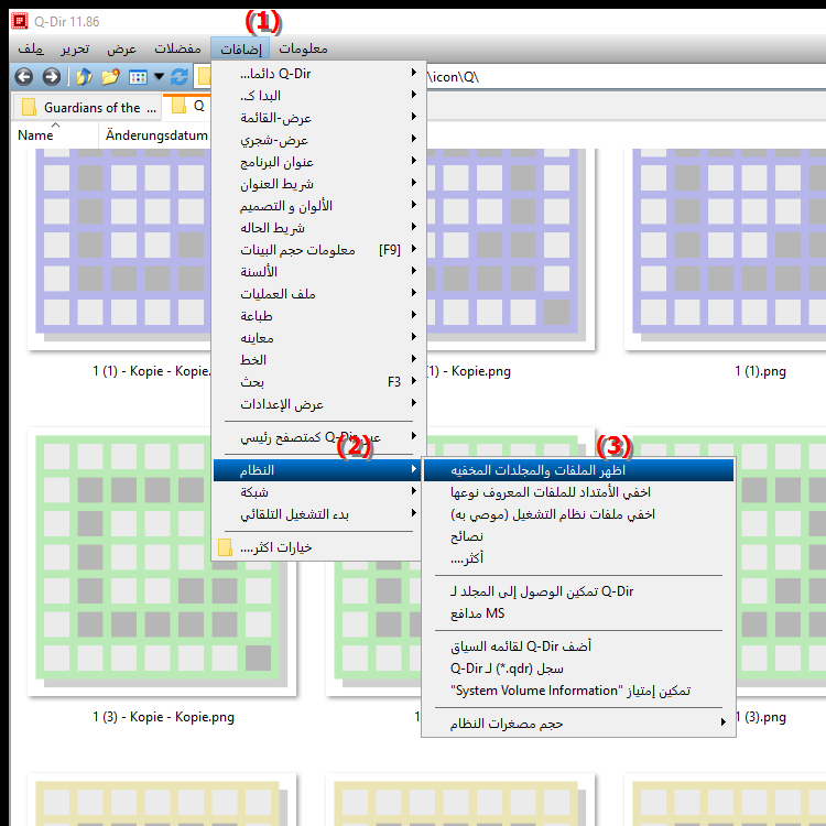 هل يمكنني عرض جميع الملفات والمجلدات في File Explorer